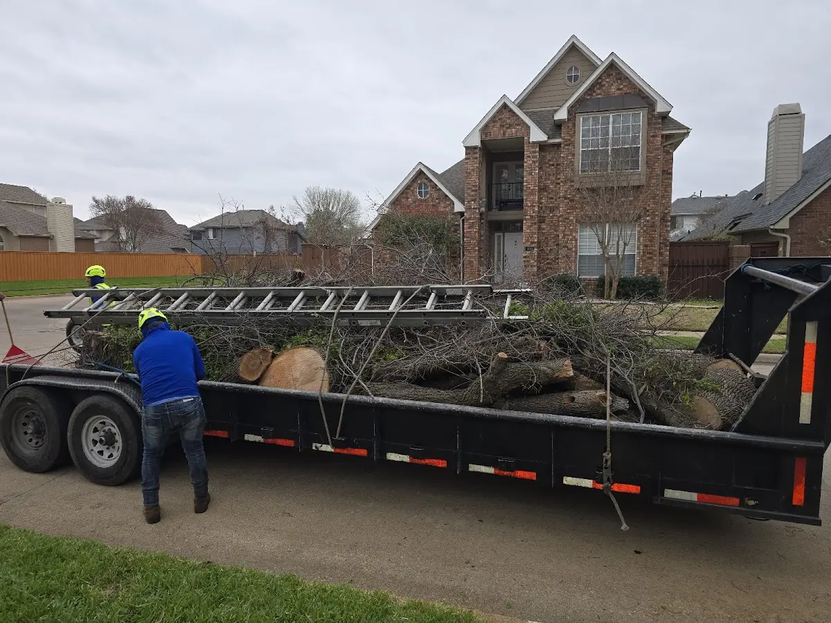 Expert Tree Pest Control with proper safety equipment in Stanfield
